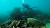 Greben u laguni Scarborough Shoal je jedna od najspornijih karakteristika u eskalirajućoj teritorijalnoj zavadi američkog saveznika, Filipina sa Kinom (foto: Instruktorka ronjenja skuplja plastični otpad pored morske kornjače, provincija Batanagas, Filipini, septembar 2021.)