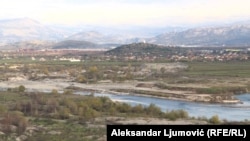 Centar za proučavanje ptica je procijenio da će Morači biti potrebno duže od vijeka da se oporavi.