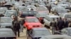Автомобилистов в России много, и власти этот факт учитывают