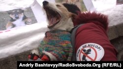 Акція на захист безпритульних тварин