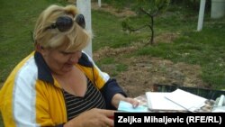 Zdena Šarić Pisker 'slika' glačalom
