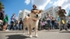 Ukraine -- A rally in support of the lustration law near the Constitutional Court, Kyiv, 4Jul2019