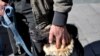 В этом году людей, пожелавших бесплатно привить своих домашних животных, было немного