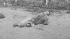 16x9 Image