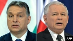 Прем’єр-міністр Угорщини Віктор Орбан (ліворуч) та лідер польської партії «Право і справедливість» Ярослав Качинський