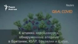 «Справятся ли вакцины с новыми штаммами?» и другие важные вопросы