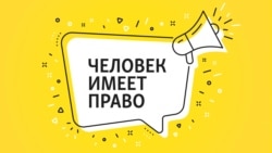 Собака по рецепту. Как животных используют для лечения людей