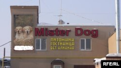 Акчаң булса, рәхим ит!