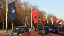 Londonska taxi vozila prolaze pored zastava zemalja članica NATO