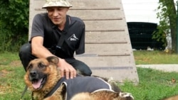 Ukrajinski veteran s amputiranom rukom pronašao utjehu u brizi za pse 