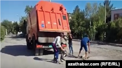 Köçelerdäki itleri we pişikleri tutup, ýok edýän jemagat hojalygy işgärleri (Arhiw suraty)