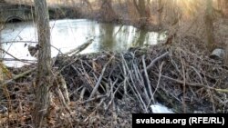 Запруджаная бабрамі рака