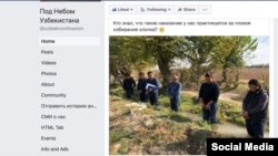 Bu surat özbek sosial ulgamlarynda peýda bolanda, ony ulanyjylaryň arasynda güýçli nägilelik döretdi.