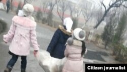 В некоторых областях Узбекистана детей принуждают не только к сбору металлолома, но и макулатуры и пластиковых баклажек.