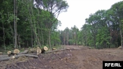 Вирубка дерев в парку імені Горького, Харків, 2 липня 2010 року