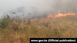 Возгорание сухой травы в Алматинской области. Иллюстративное фото.