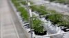 U udruženjima koja okupljaju pacijente koji se leče kanabisom navode da su se desetinama puta obraćali vlastima sa zahtevom da se legalizuje marihuana u medicinske svrhe i da je najveći problem hapšenje bolesnih.