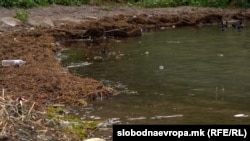 Архивска фотографија - Охридско Езеро, загадување. Септември 2024 година.